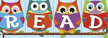 Owls with the word READ